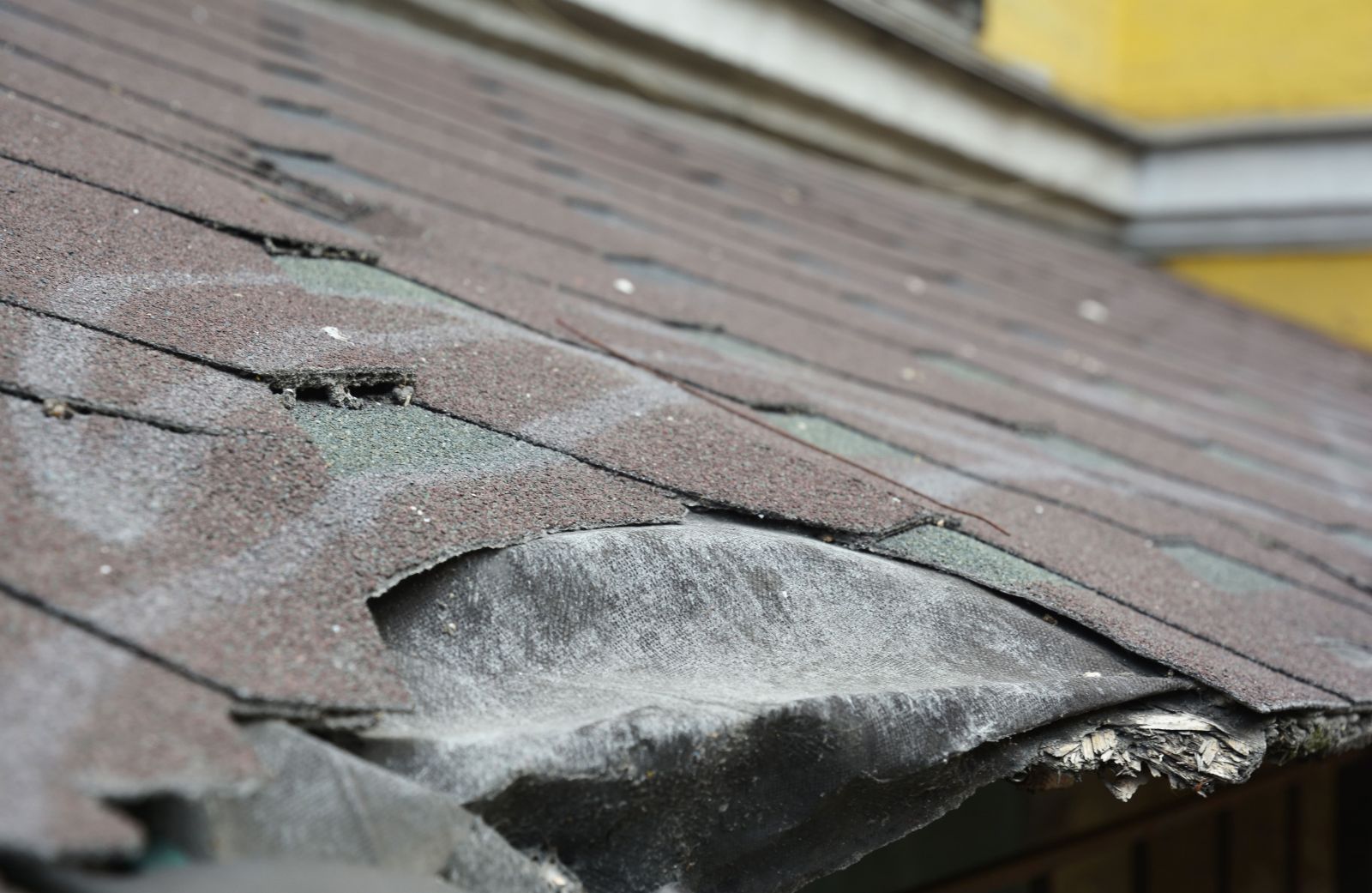 Winston Roofing Co. Images