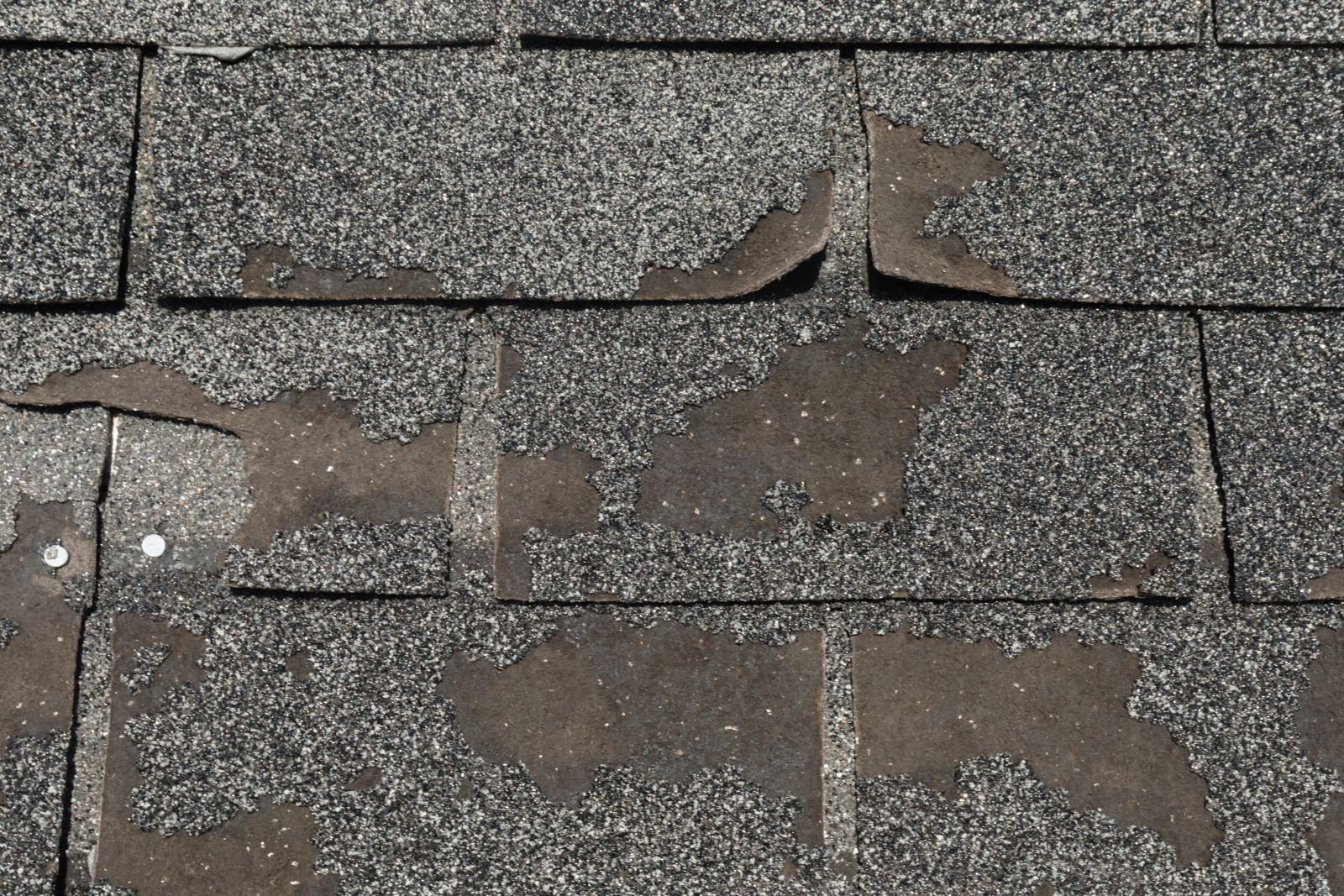 Winston Roofing Co. Images