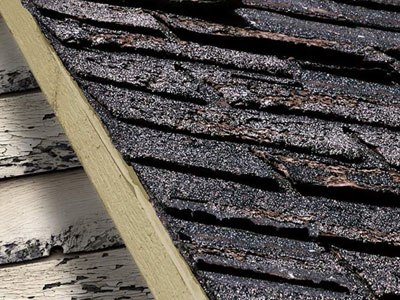 Winston Roofing Co. Images