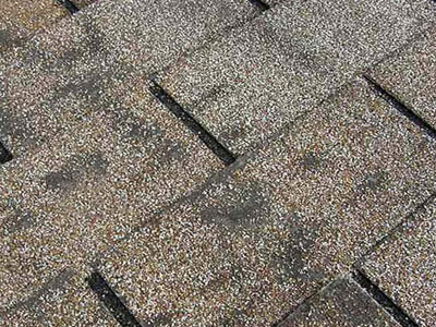 Winston Roofing Co. Images